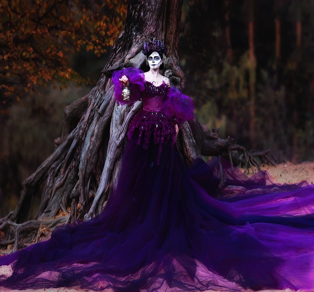 Фотография автора Ольга Дробышева