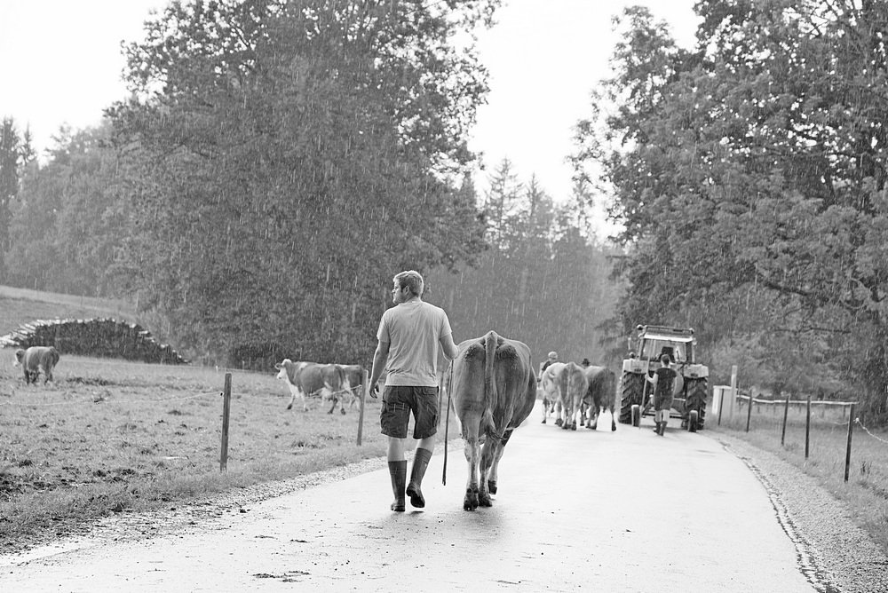 Photograph by Евгений Аккуратов