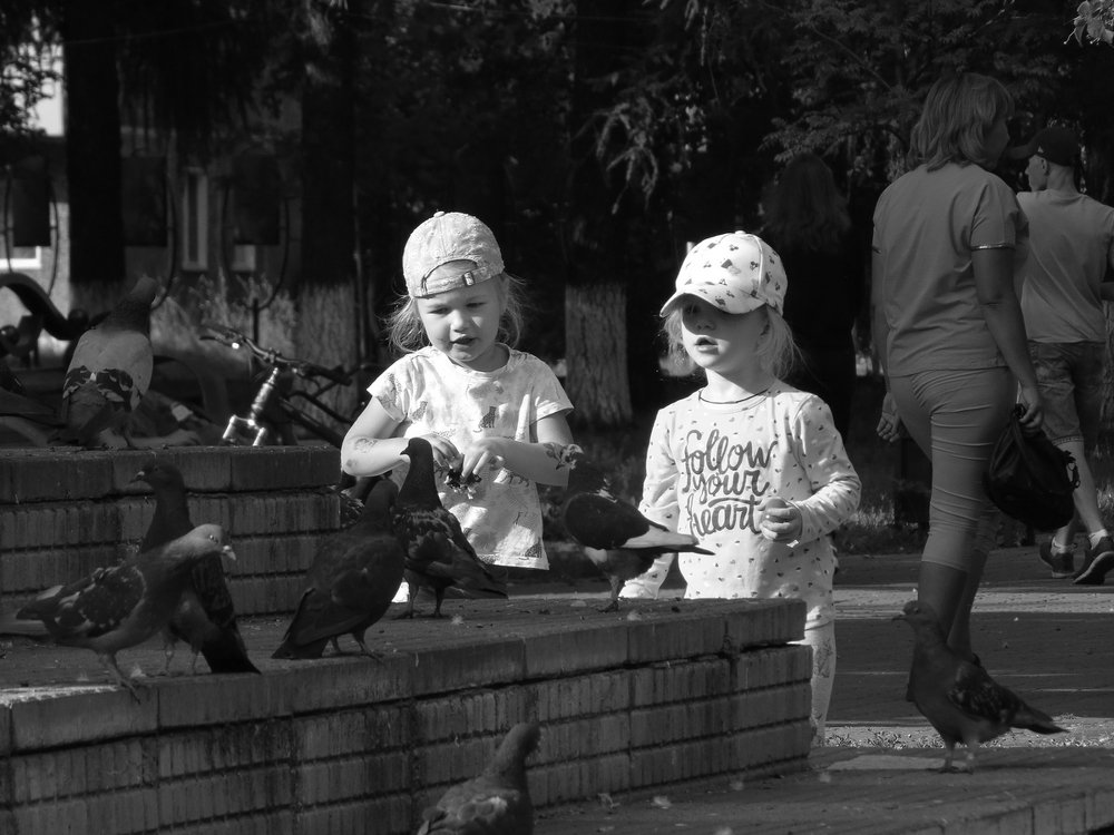 Любовь и голуби