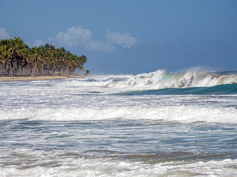 Далекие берега.