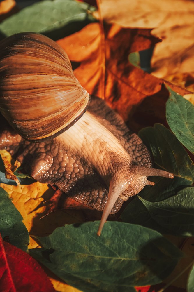 Ползём к цели