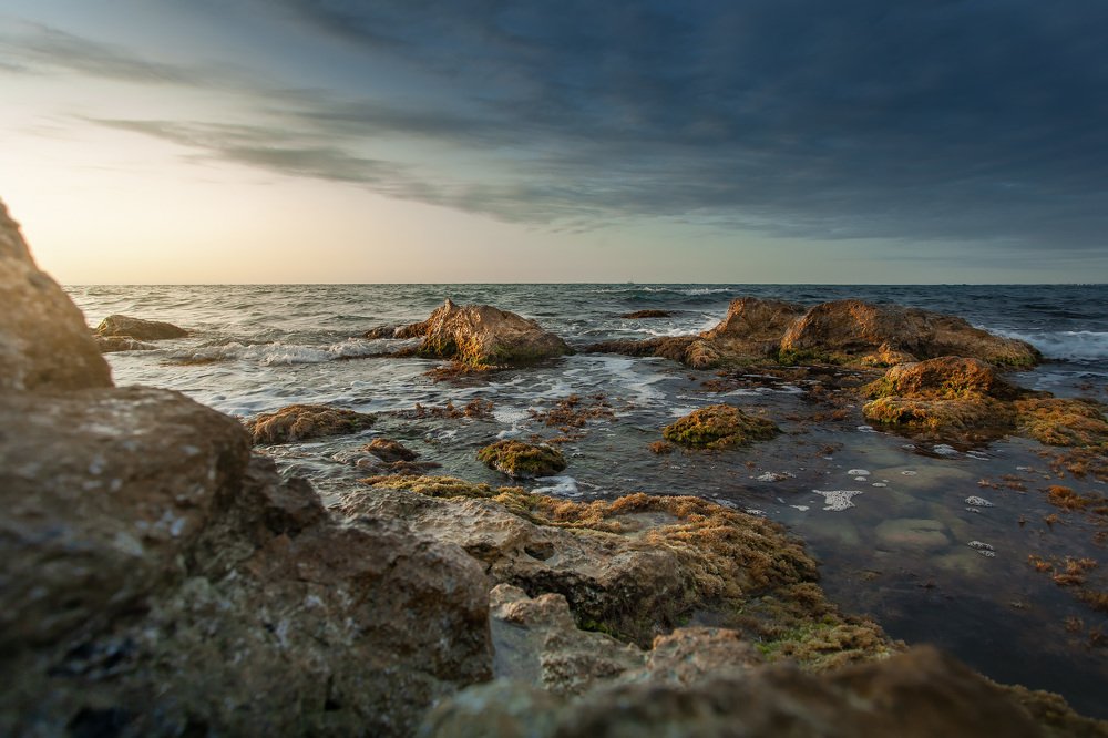 Photograph by Дмитрий Сдобин