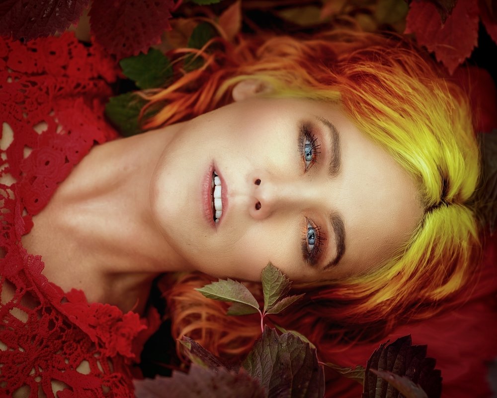 Фотография автора Michaela Firešová