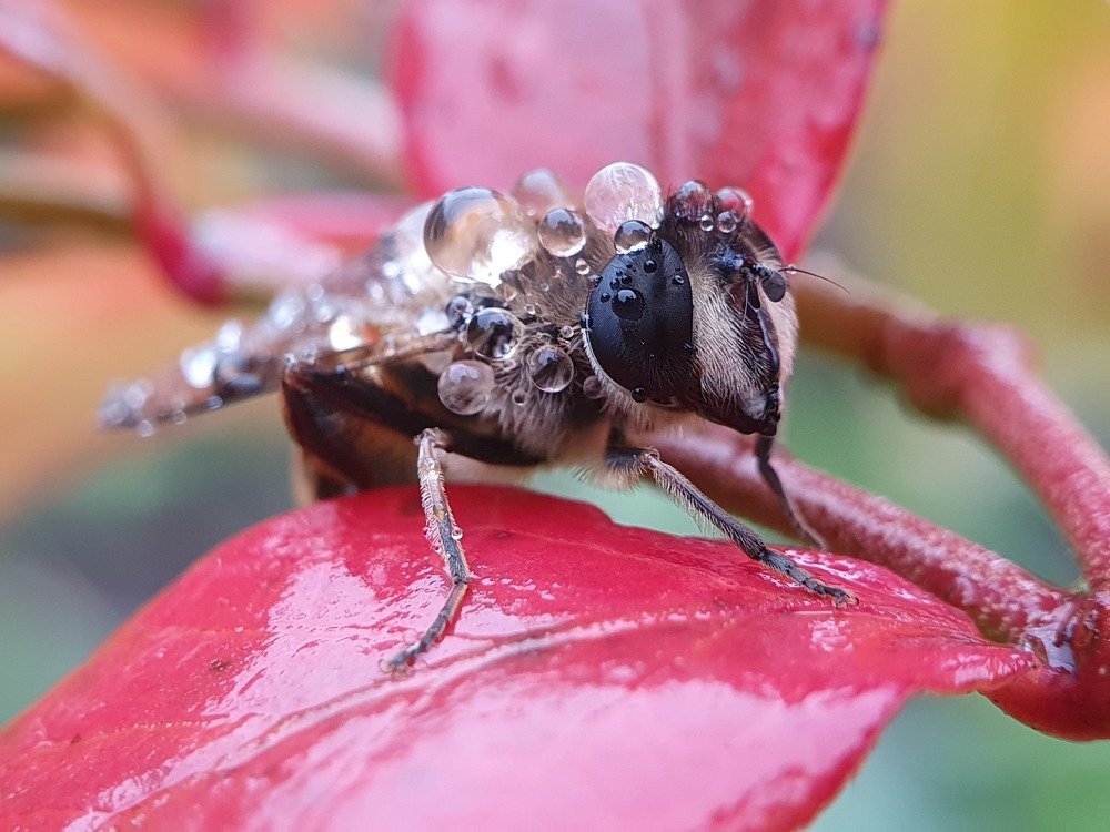 Фотография автора Юлия Таран