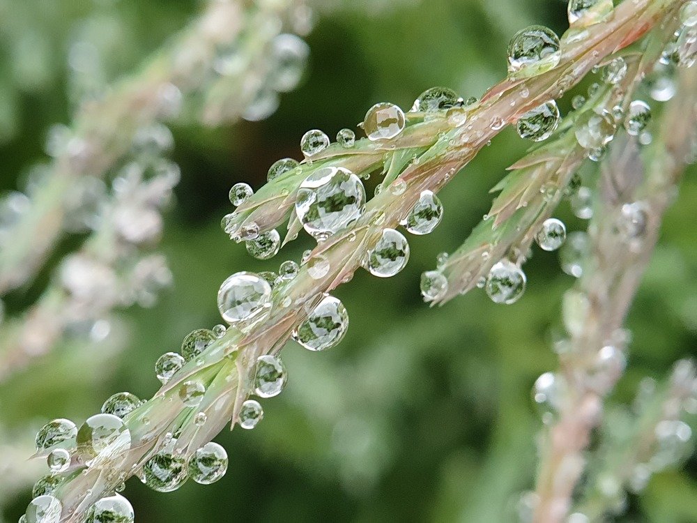 Фотография автора Юлия Таран