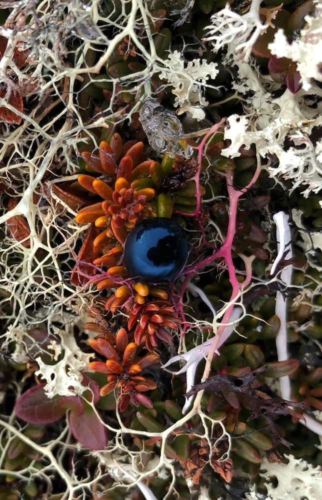 Photograph by Оксана Шеховцова