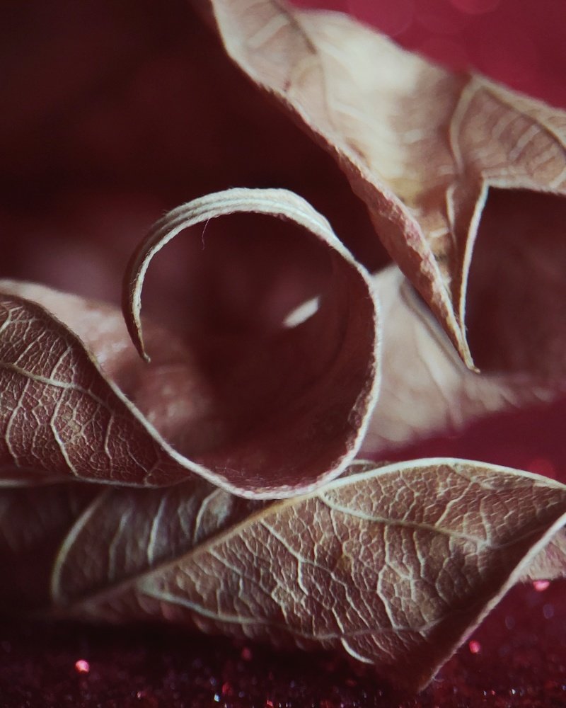 Photograph by Алеся Писнова