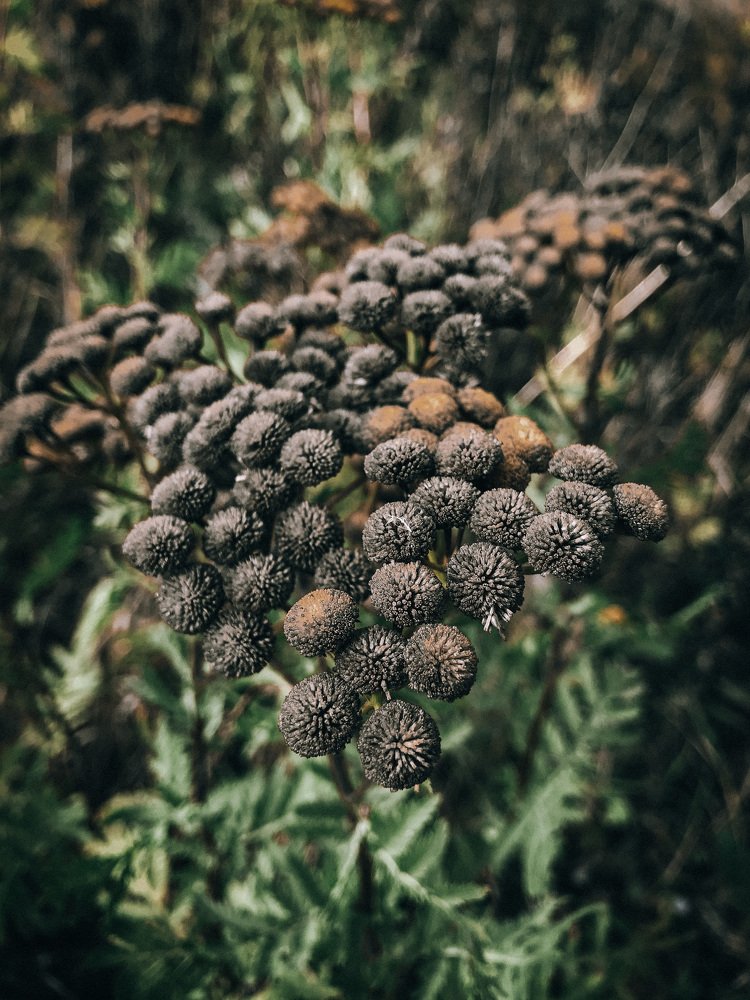 Photograph by Светлана Чорна