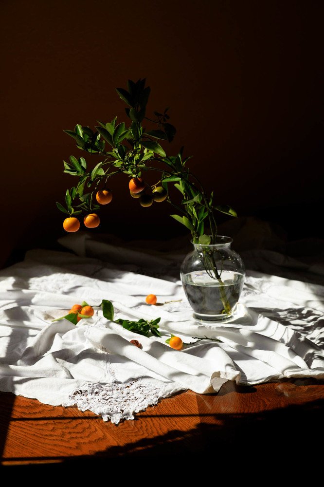 Photograph by Amalya Shandelman