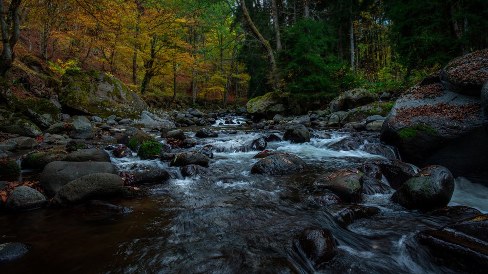 Photograph by Helen Vasilieva