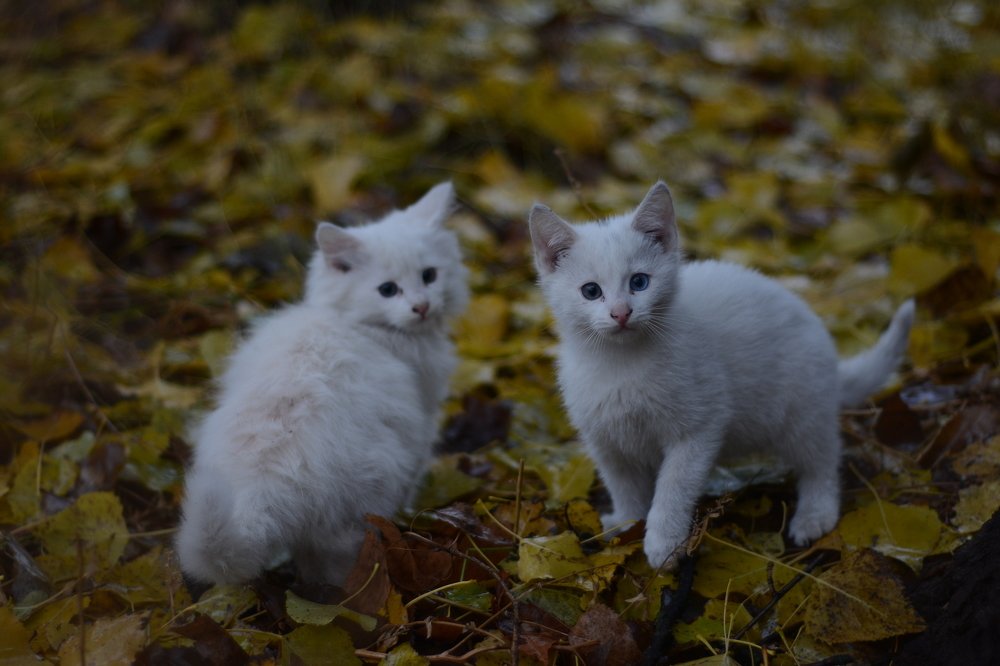 Photograph by Ольга Истомина