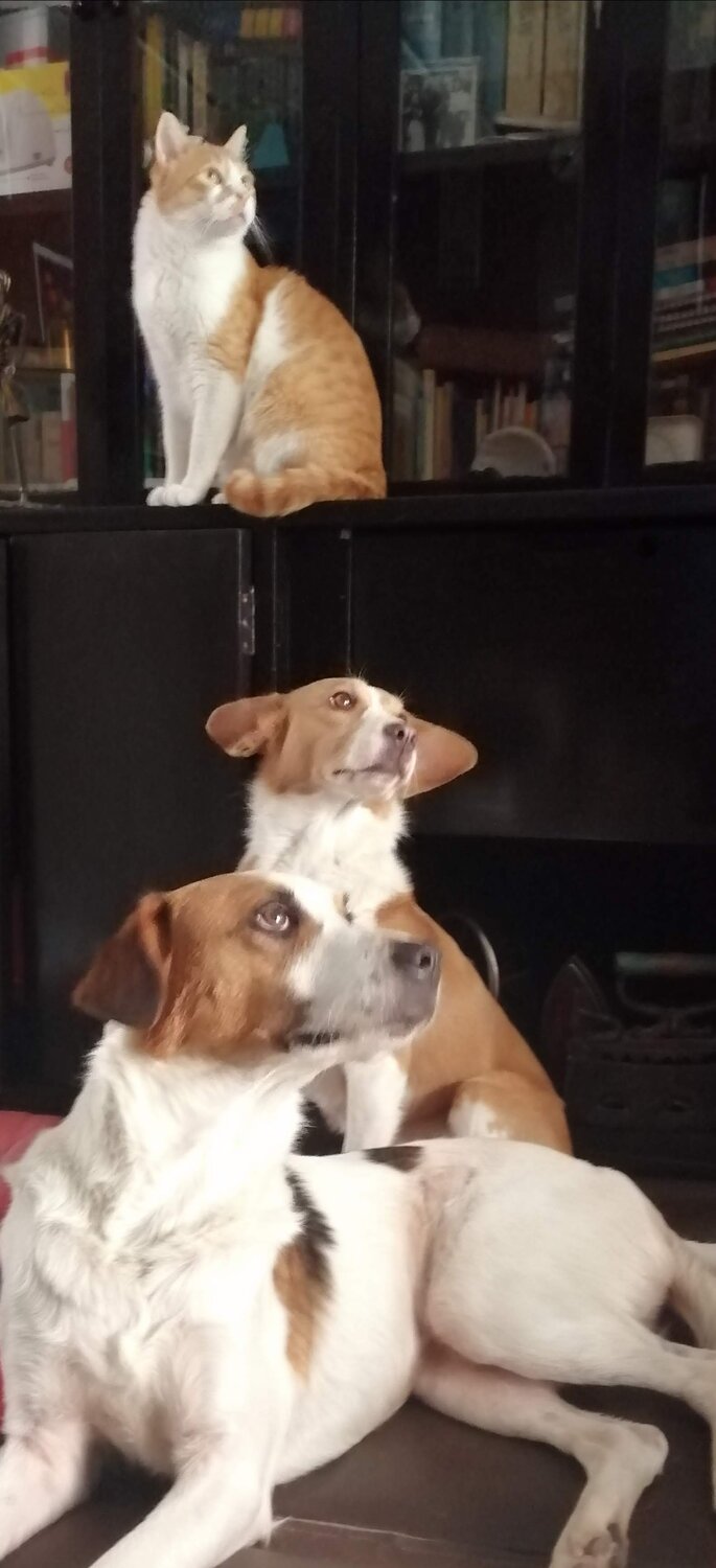 Photo #5180272