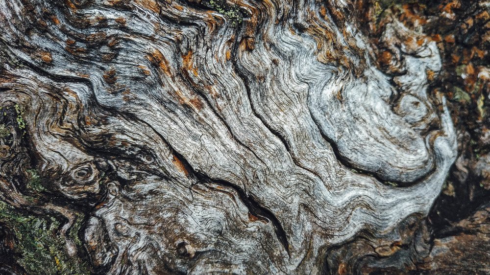 Photograph by Екатерина Кулакова