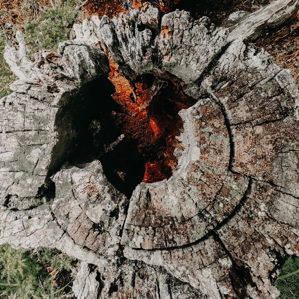 Photograph by Екатерина Кулакова