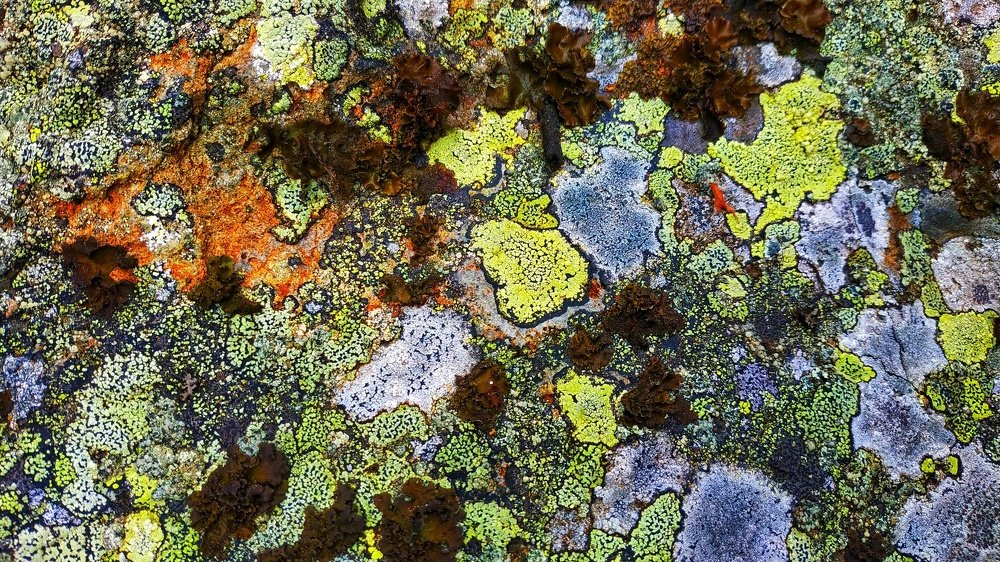 Photograph by Екатерина Кулакова