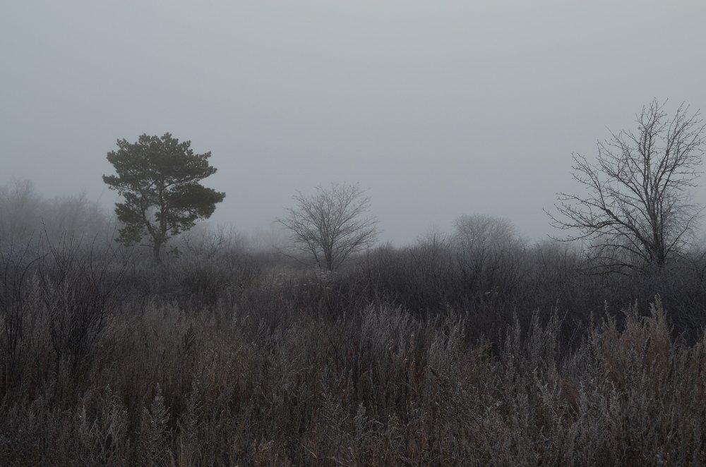 Photograph by Юрий Курынов