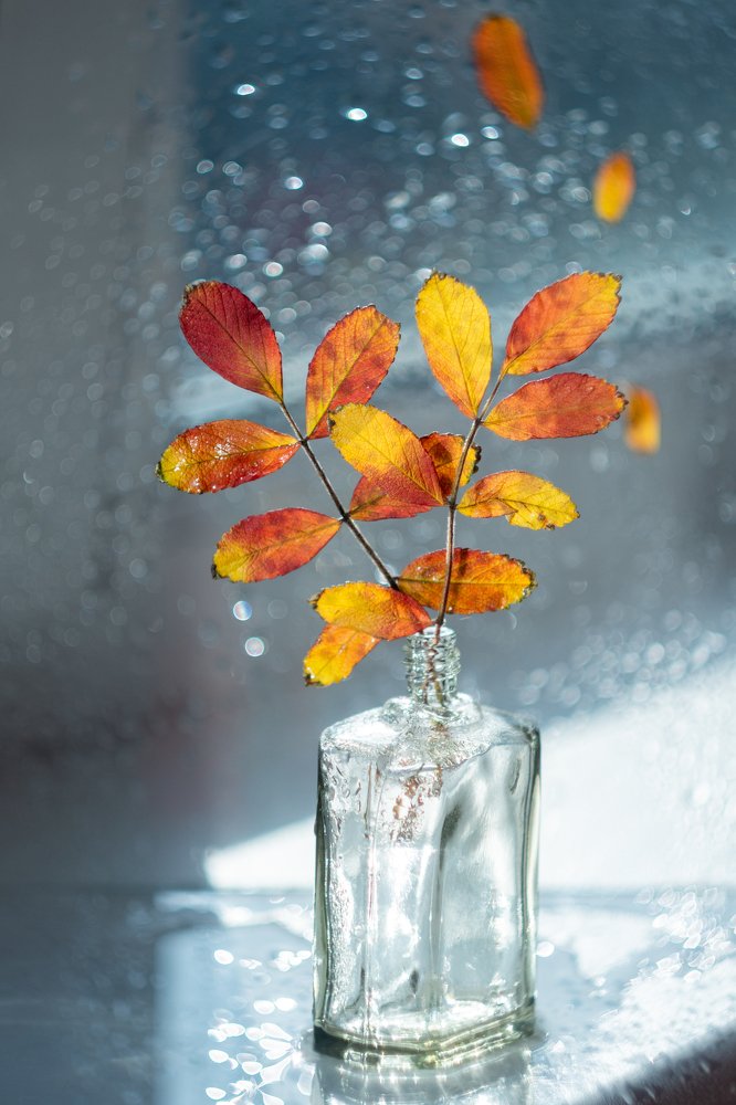 Осенний этюд