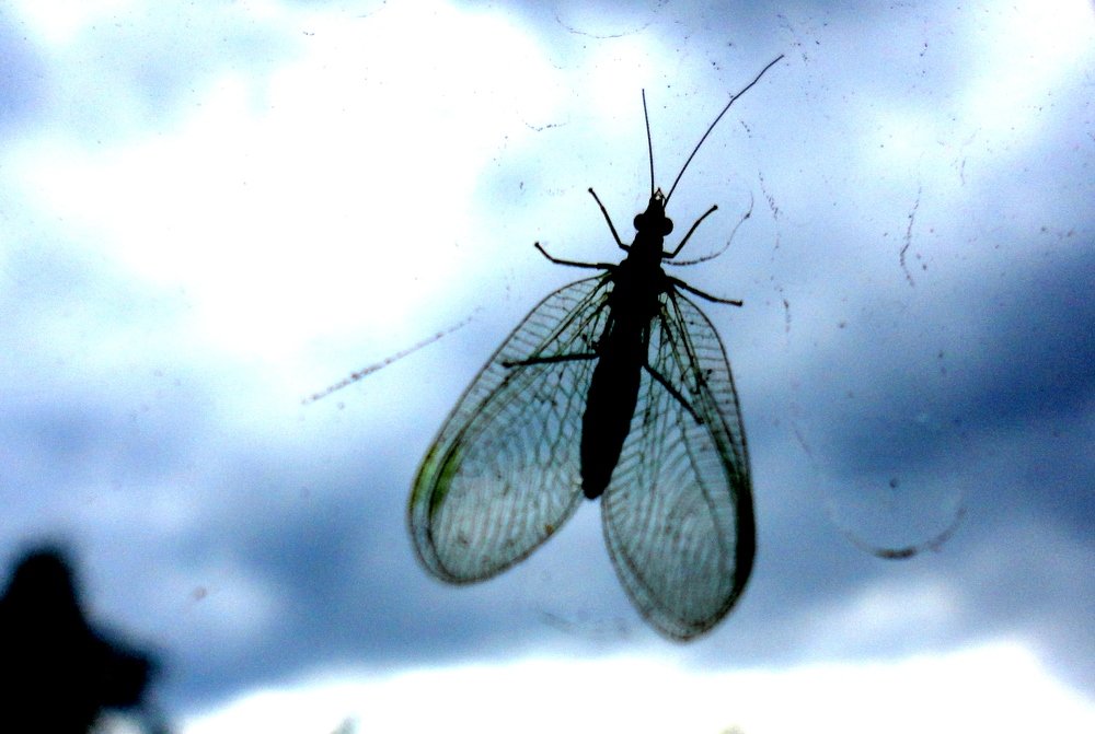 Photograph by Сергей Хвостовец