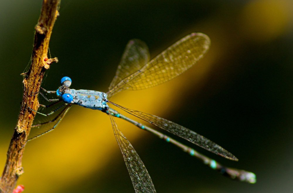 Photograph by Sajith k