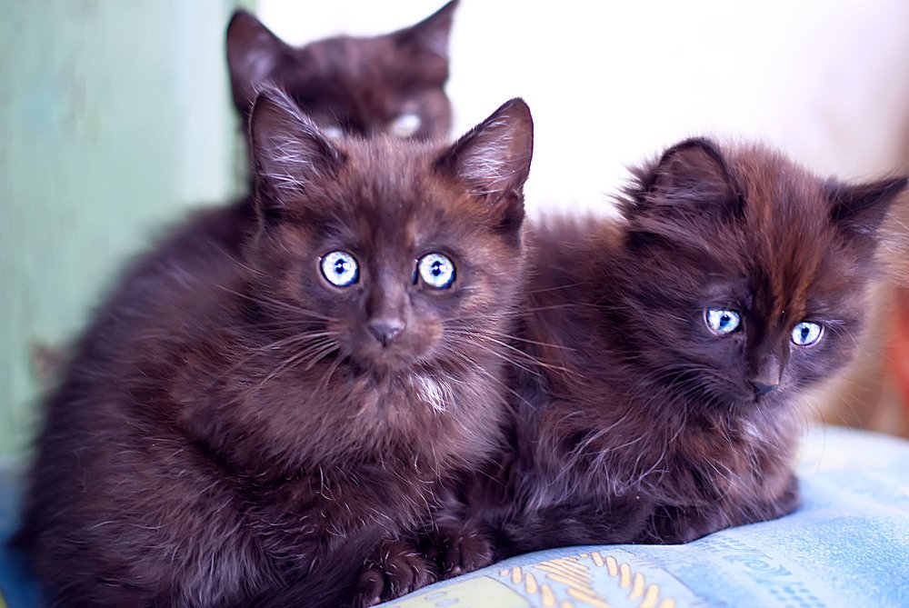 Photograph by Наталья Микулич