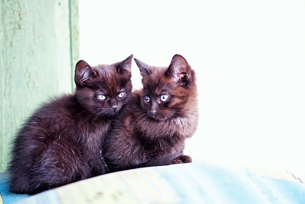 Photograph by Наталья Микулич