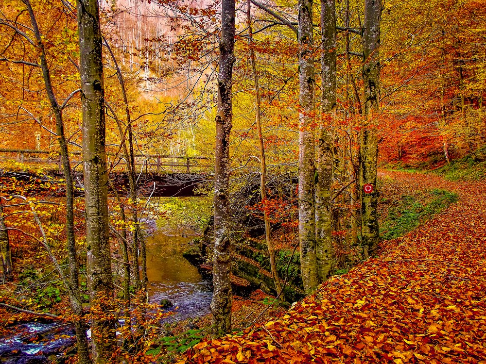 Photograph by Constantin Lazar