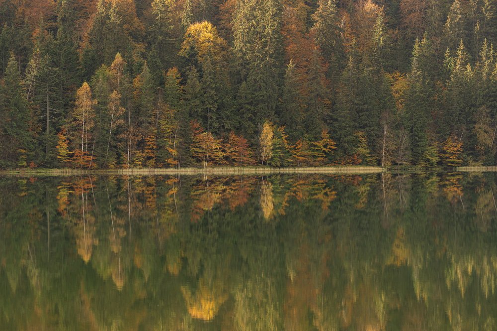 Photograph by Varga Zoltan