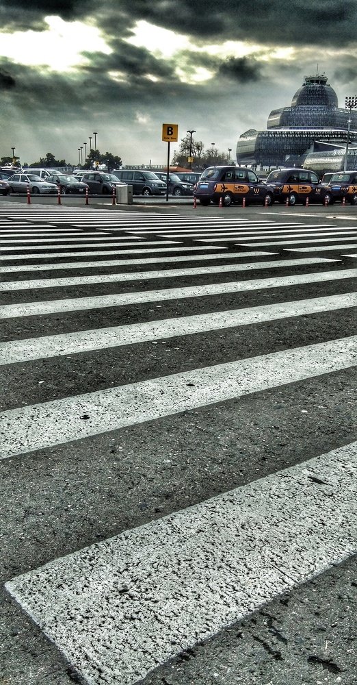 Lines Defines The Discipline