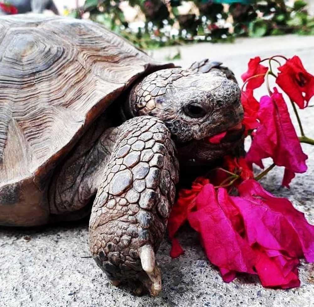 Photograph by Sandra Flores