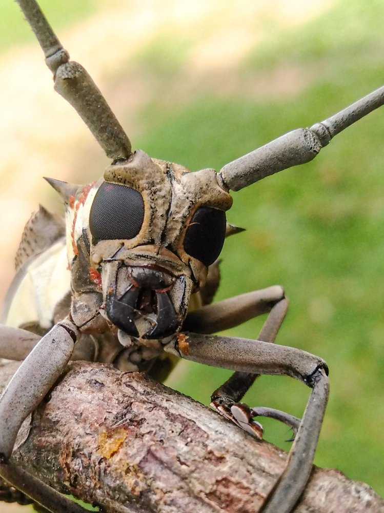 Photograph by Indunil Madusanka