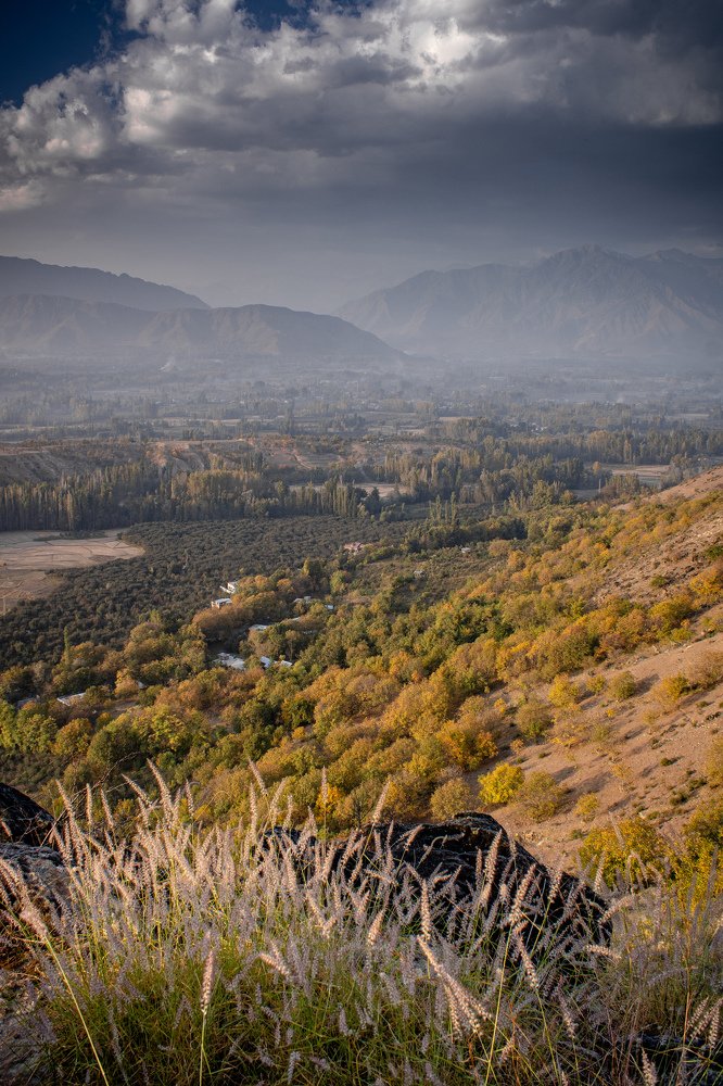 Photograph by Abrar Farooq Wani