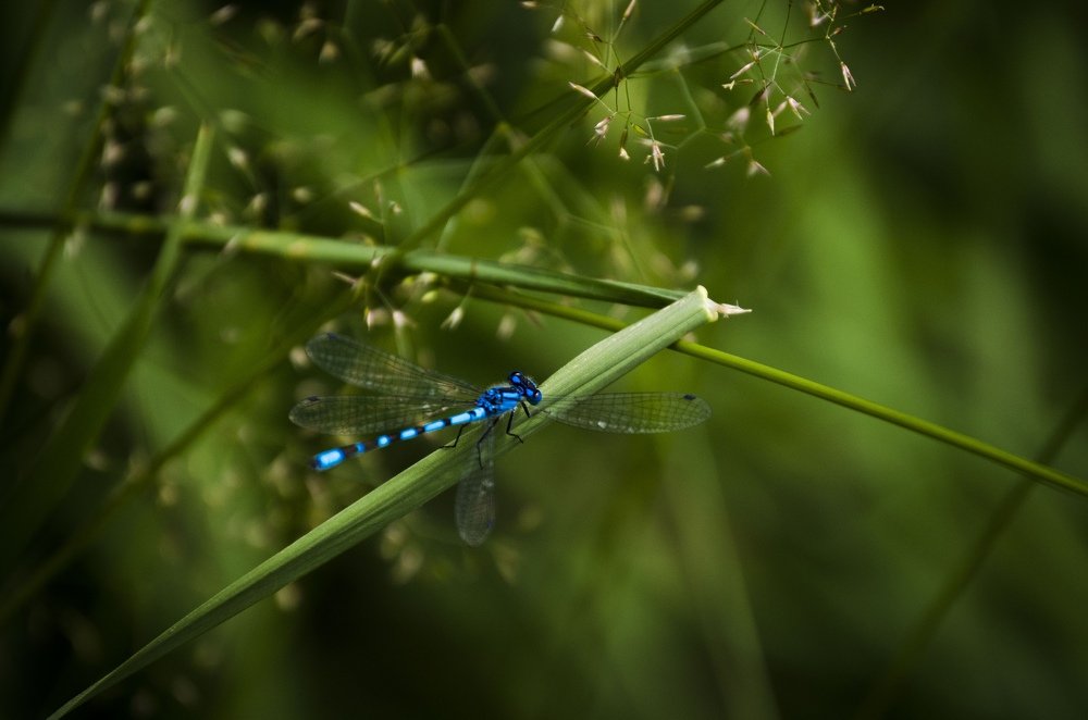 Photograph by Андрей Малыгин