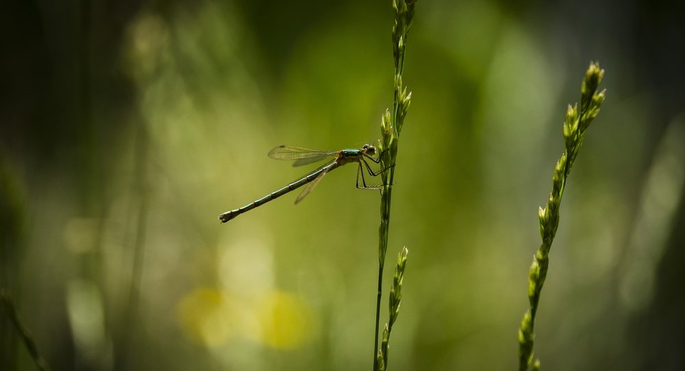 Photograph by Андрей Малыгин