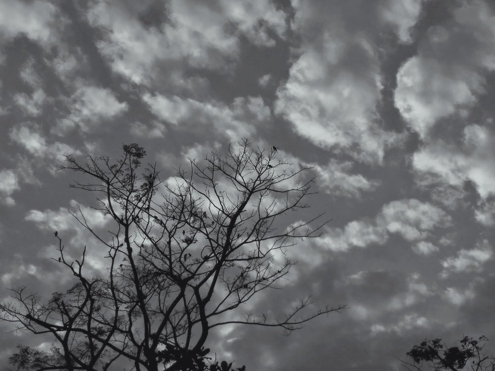 Photograph by Shahariar Tahamed