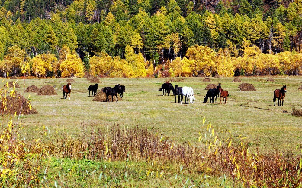 Фотография автора Степан Давыдов