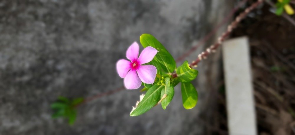 Photograph by Hitiksha Sanghavi