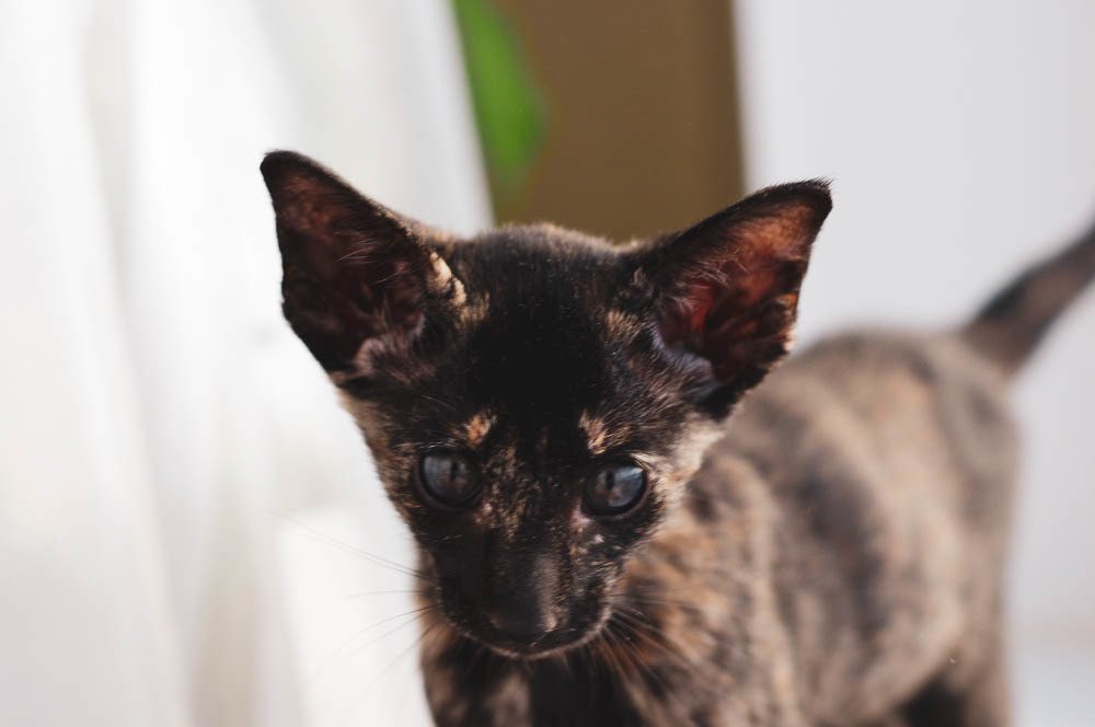 Photograph by Анна Глаговская