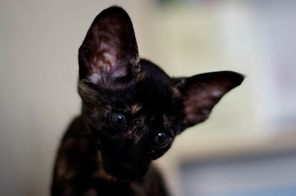 Photograph by Анна Глаговская