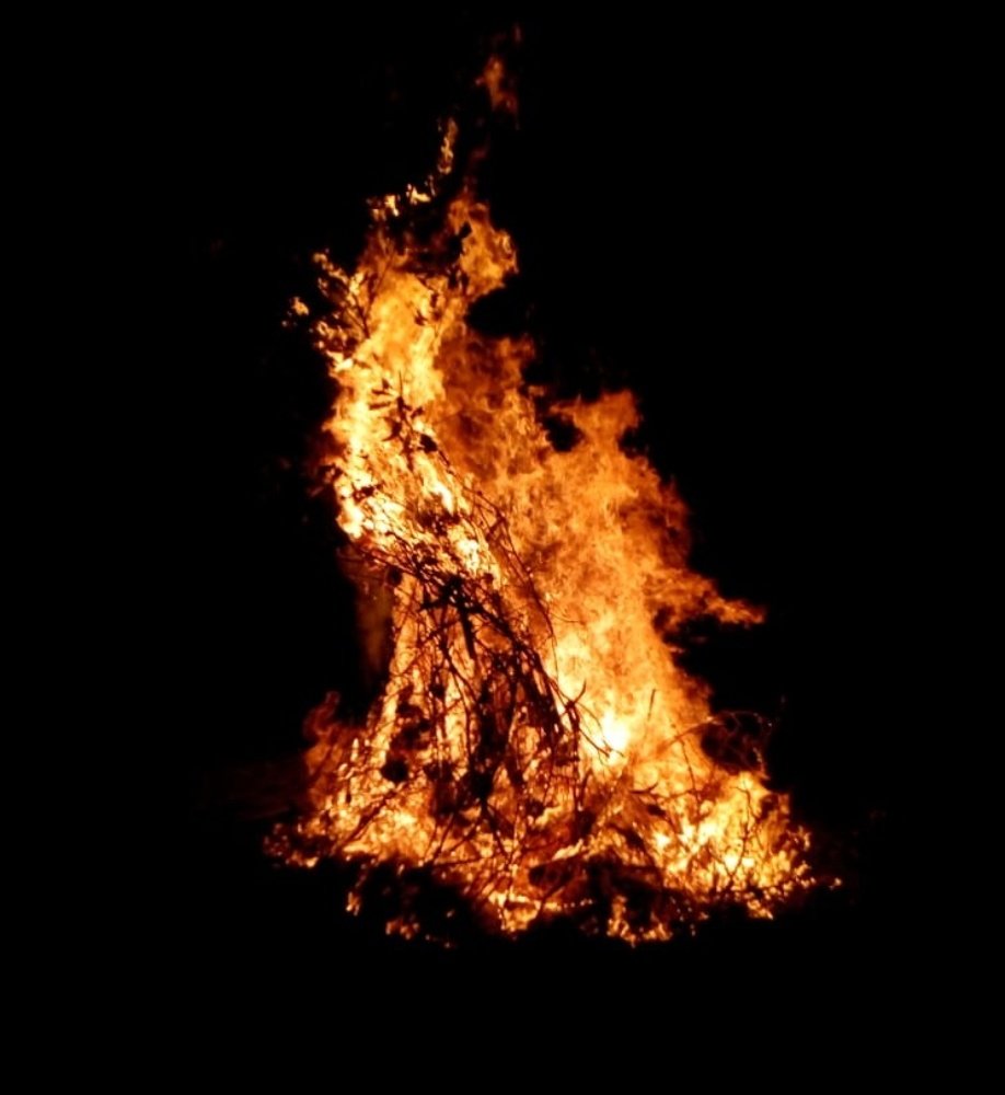 Fire - friend and enemy of life!!