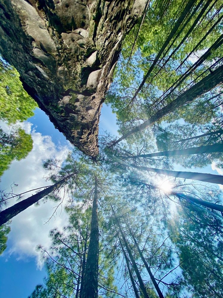 Photograph by Gaurav Budhiraja