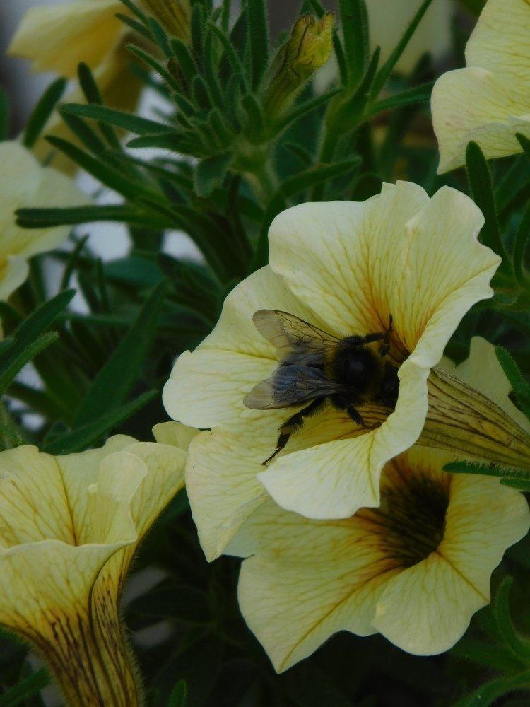 Photograph by Светлана Потемкина