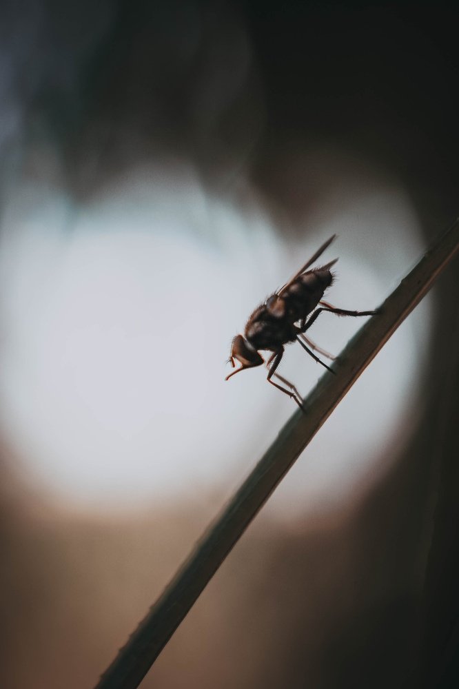 Photograph by Анастасия Чепурнова