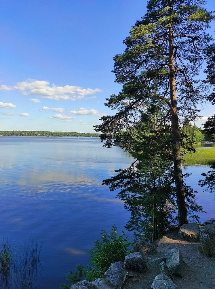 Photograph by Светлана Потемкина