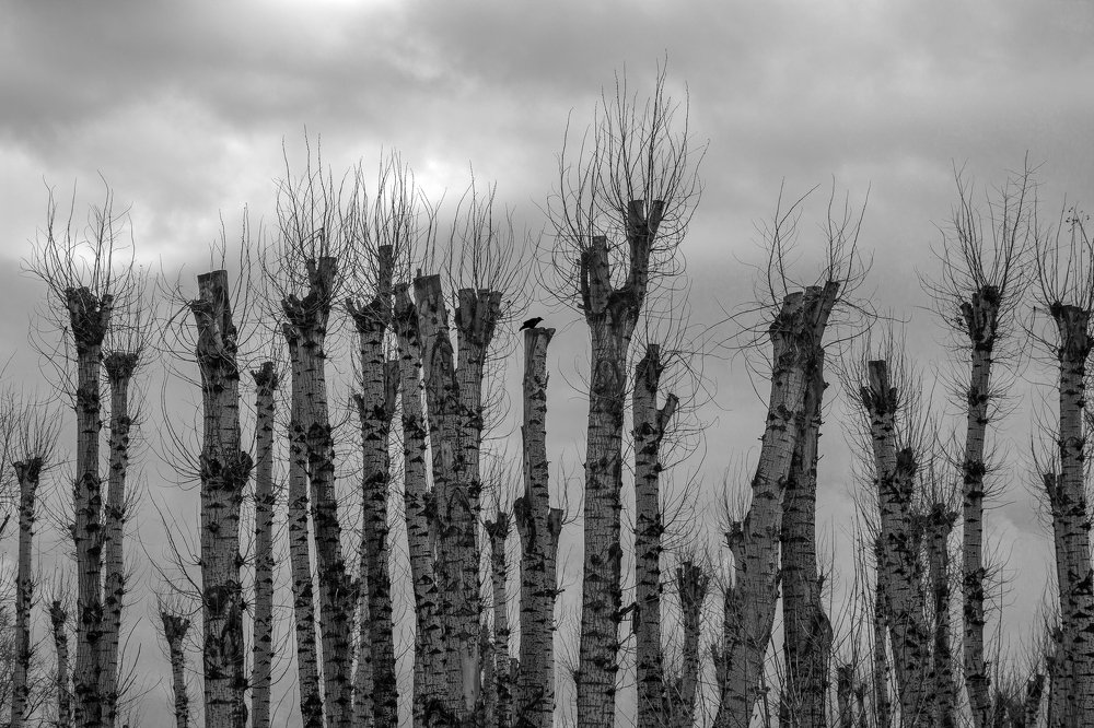 Одиночество.