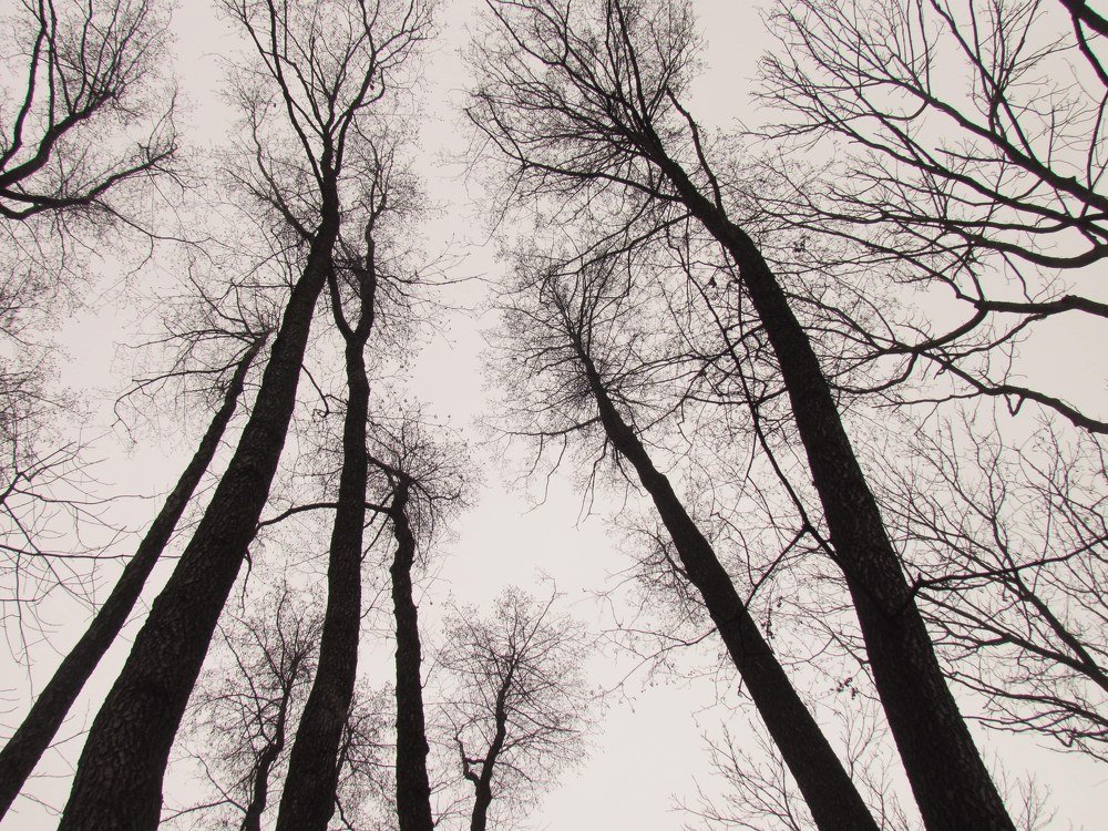 Photograph by Ірина Дрок