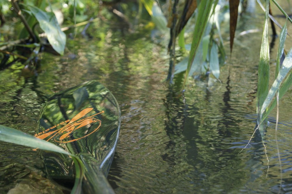 Photograph by Андрей Хитрун