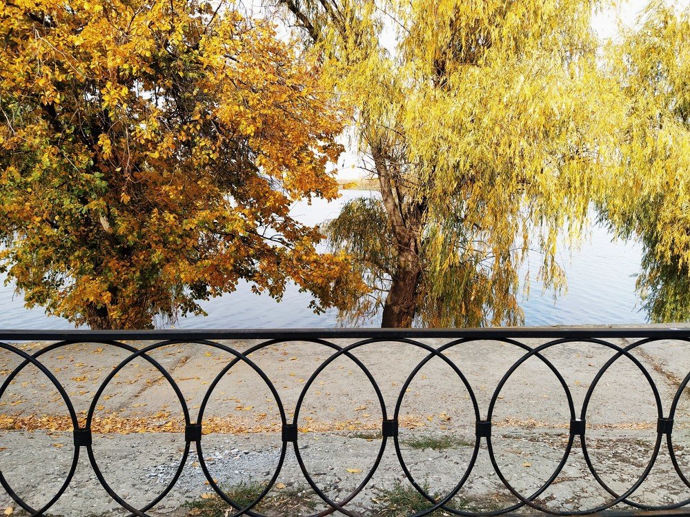 Photograph by Karina Yakovleva