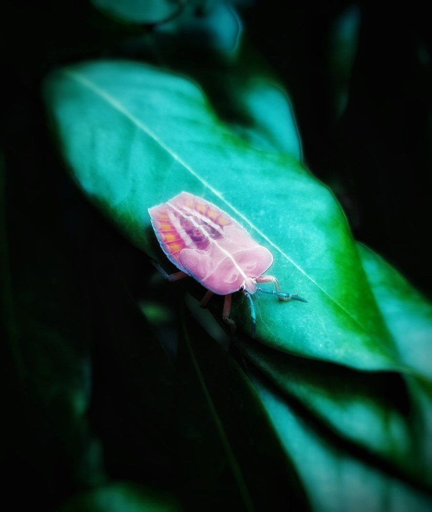 Photograph by Shivang Jindal