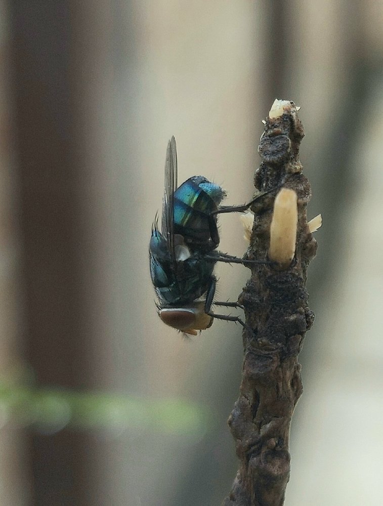 Different shades of blue