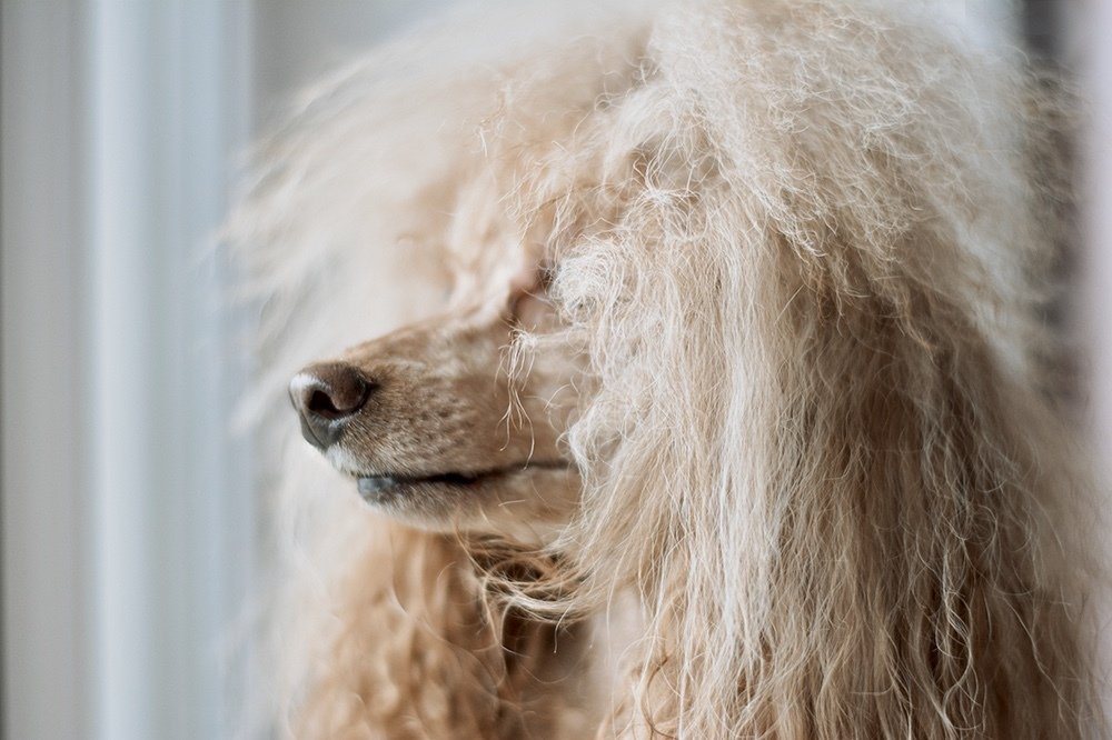 Photograph by Ирина Ситникова